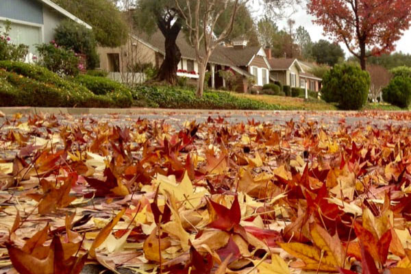 Preparing your house for the fall season