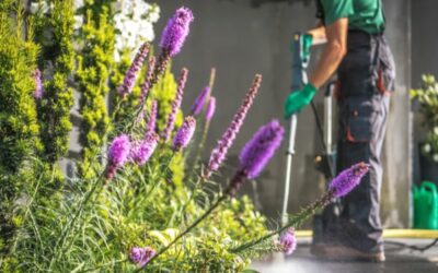 It’s time for spring cleaning your home and yard!